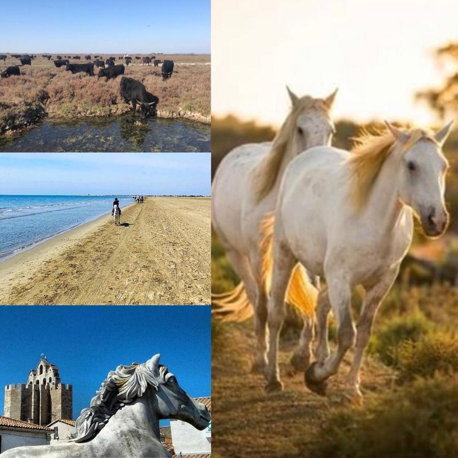 Отель Mas Des Salicornes Сент-Мари-де-ла-Мер Экстерьер фото